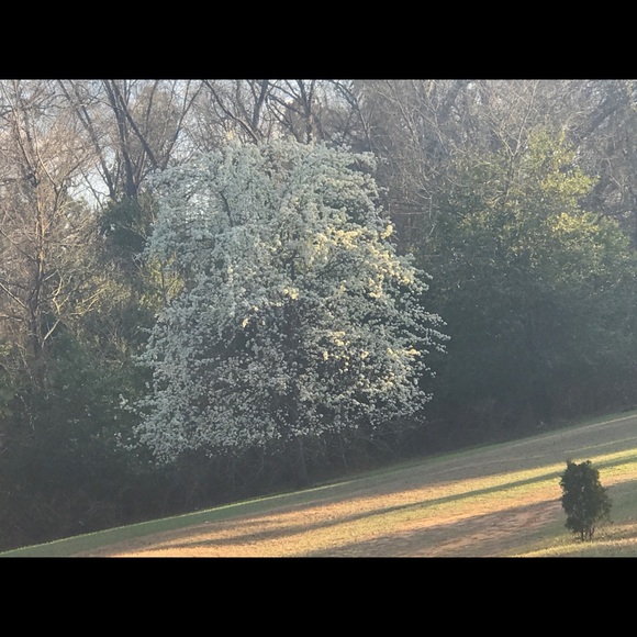 Meet your Posher, Patrick - Picture 1 of 1